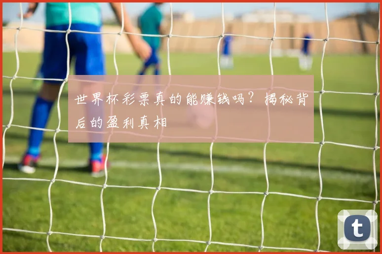 世界杯彩票真的能赚钱吗?揭秘背后的盈利真相