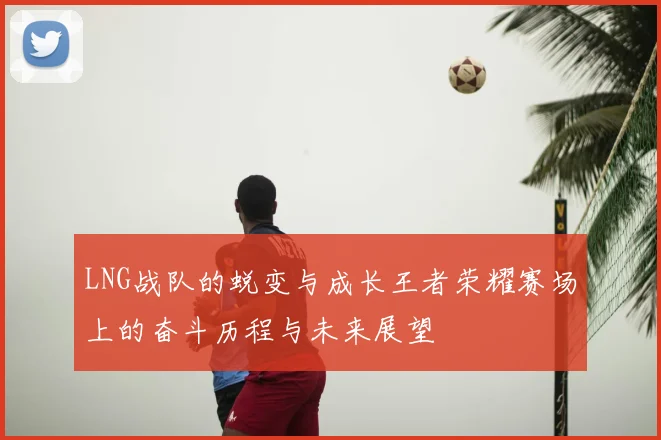 LNG战队的蜕变与成长王者荣耀赛场上的奋斗历程与未来展望