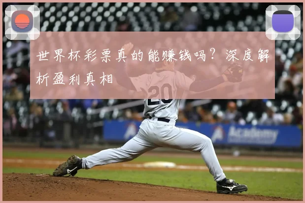 世界杯彩票真的能赚钱吗?深度解析盈利真相